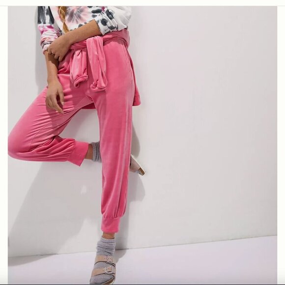 Anthropologie Saturday Sunday Merida Drawstring Velvet Joggers Size Medium - Picture 1 of 11